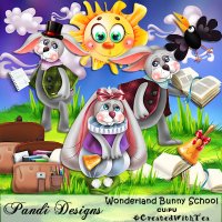 WONDERLAND BUNNY SCHOOL