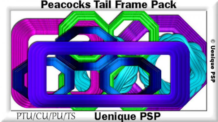 Peacocks Tail Frames - Click Image to Close