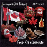 Canada Day MIx_FREE