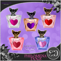 Philomena Dogs CU