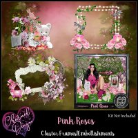 Pink Roses Cluster Frames