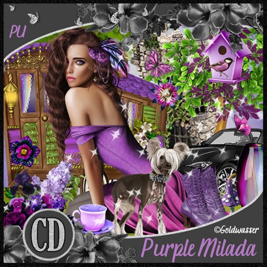 Purple Milada - Click Image to Close