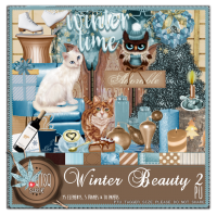 Winter Beauty 2