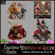 Ravenwood Steam Embellishments