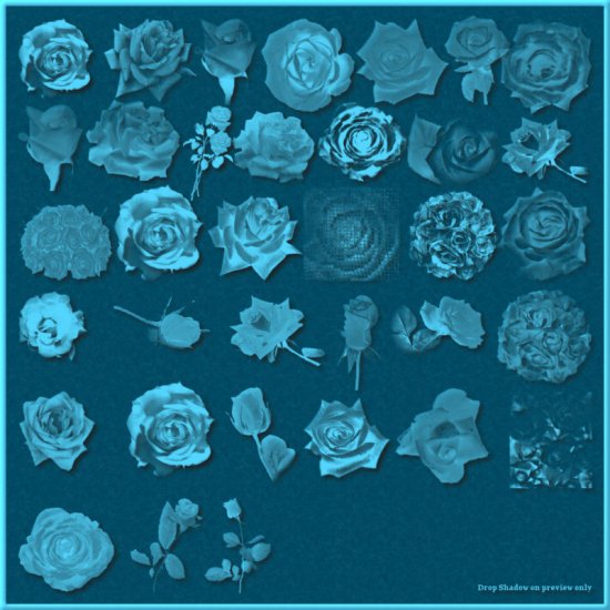 35 Roses PSP Brushes - Click Image to Close