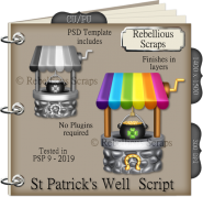 St Patricks Well Script
