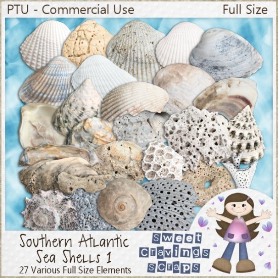 CU - Southern Atlantic Sea Shells 1 (FULL SIZE) - Click Image to Close