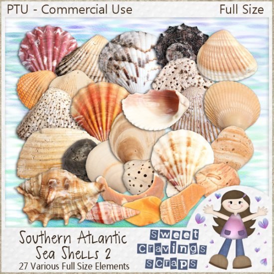 CU - Southern Atlantic Sea Shells 2 (FULL SIZE) - Click Image to Close