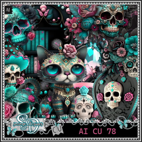 AI CU 78 - Click Image to Close