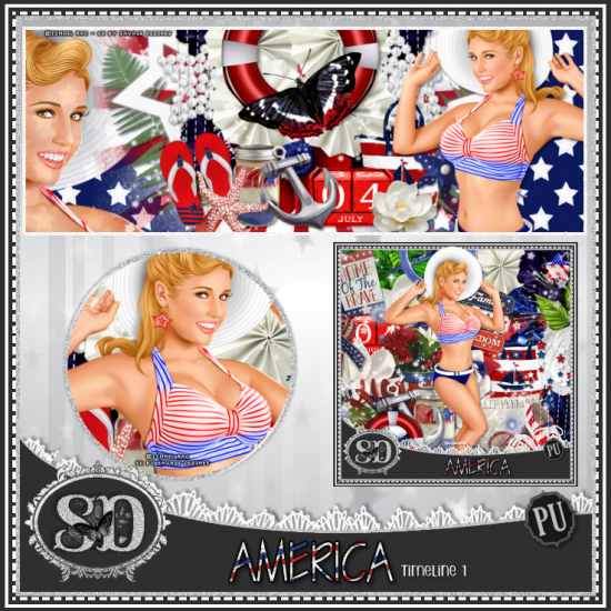America Kit - Click Image to Close