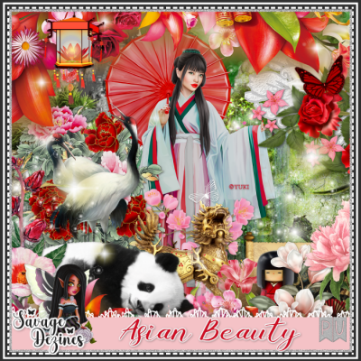 Asian Beauty Kit