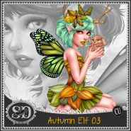 Autumn Elf 03