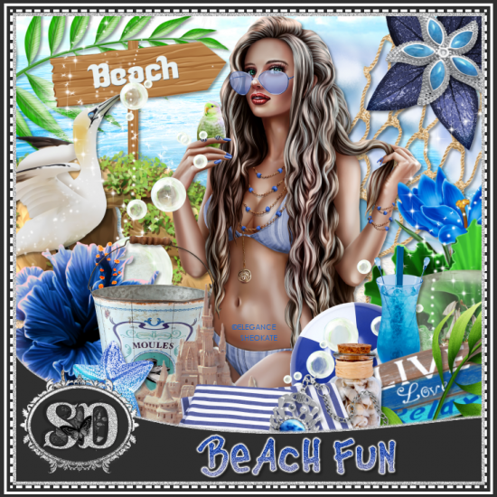 Beach Fun Kit - Click Image to Close