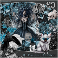 Beckon The Darkness Kit