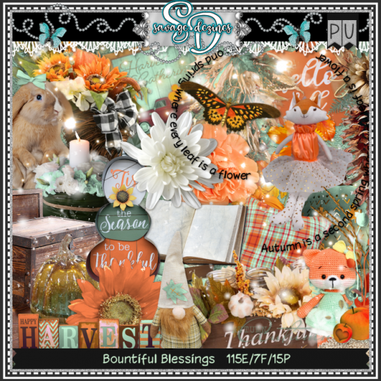 Bountiful Blessings Kit - Click Image to Close