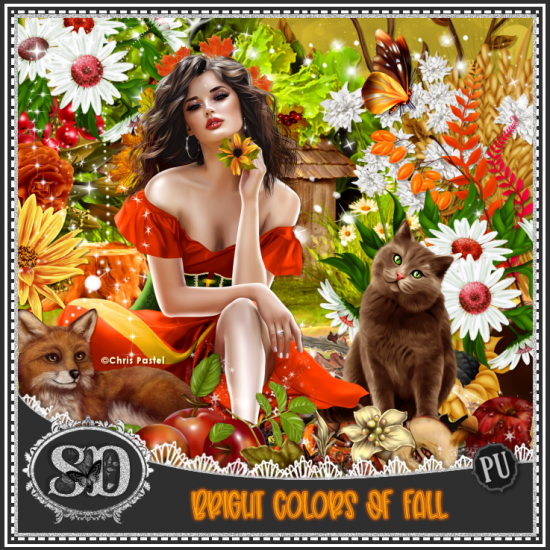 Bright Colors Of Fall Kit - Click Image to Close