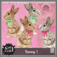 Bunny 1
