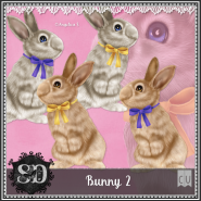 Bunny 2