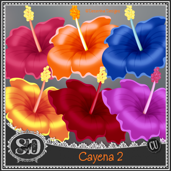 Cayena 2-1 - Click Image to Close