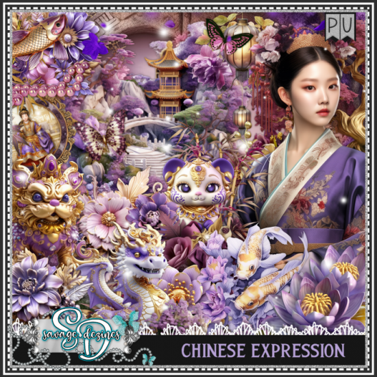 Chinese Expression Kit - Click Image to Close