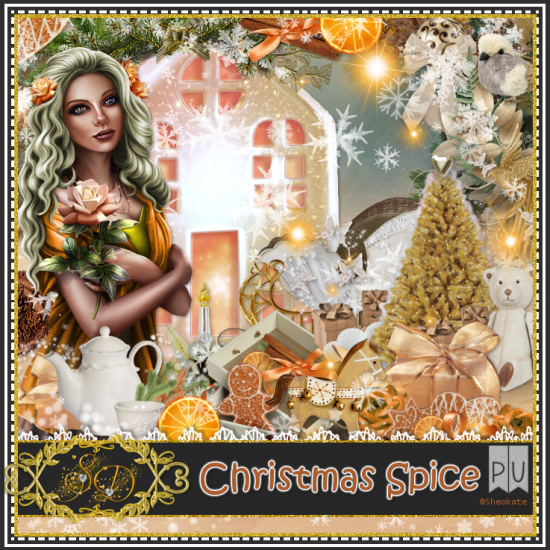 Christmas Spice Kit - Click Image to Close