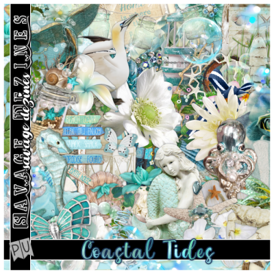 Coastal Tides Kit