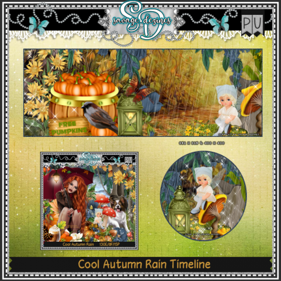 Cool Autumn Rain TL1 - Click Image to Close