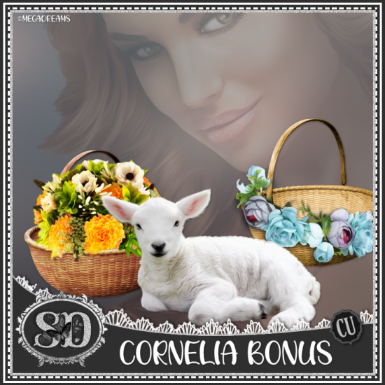 Cornelia Bonus - Click Image to Close