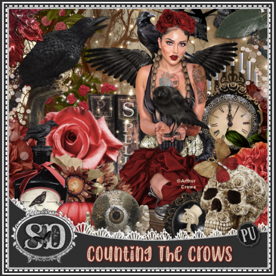 Counting The Crows Kit - Click Image to Close