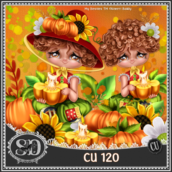 CU 120 - Click Image to Close