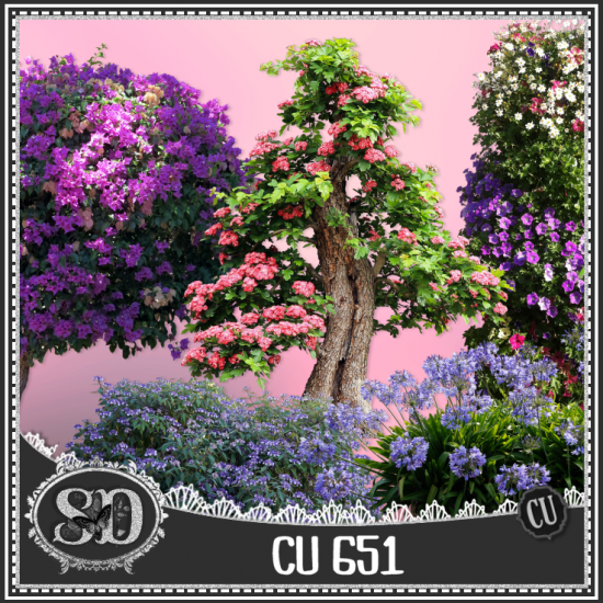 CU PACK 651 - Click Image to Close