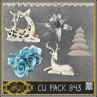 CU PACK 843