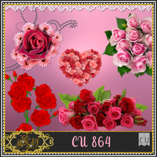 CU PACK 864 - Click Image to Close