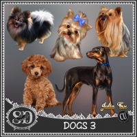 Dogs 3