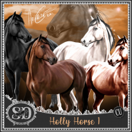 Holly Horse 1