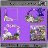 Hyacinth Gardens CF 2