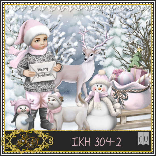 IKH 304 PACK 2 - Click Image to Close