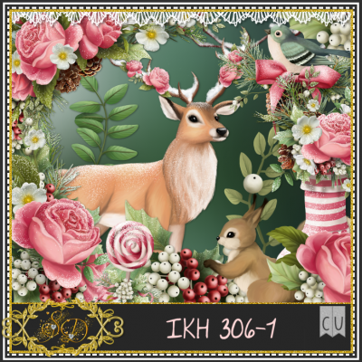 IKH 306 PACK 1