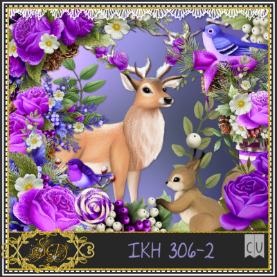 IKH 306 PACK 2