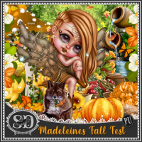 Madeleines Fall Fest Kit