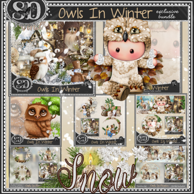 Owls In Winter Exclusive Bundle