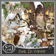 Owls In Winter Kit