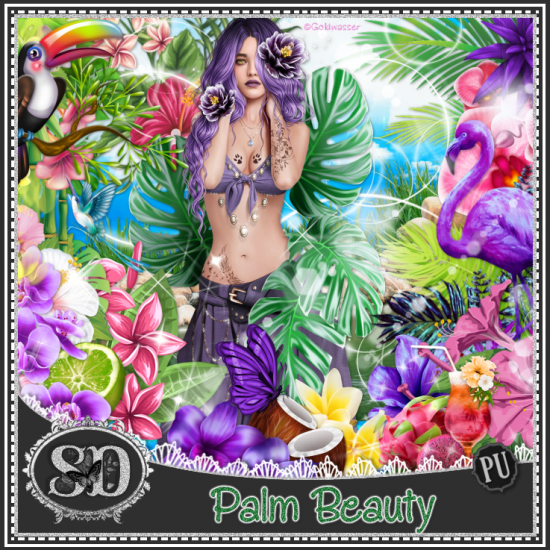 Palm Beauty Kit - Click Image to Close