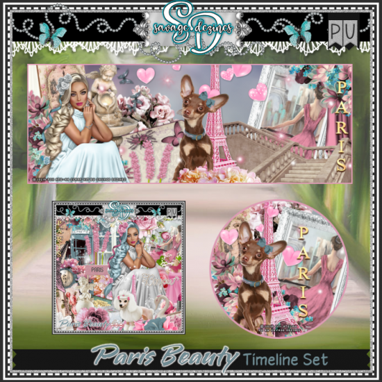 Paris Beauty Kit - Click Image to Close