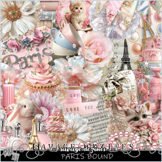 Paris Bound Kit - Click Image to Close