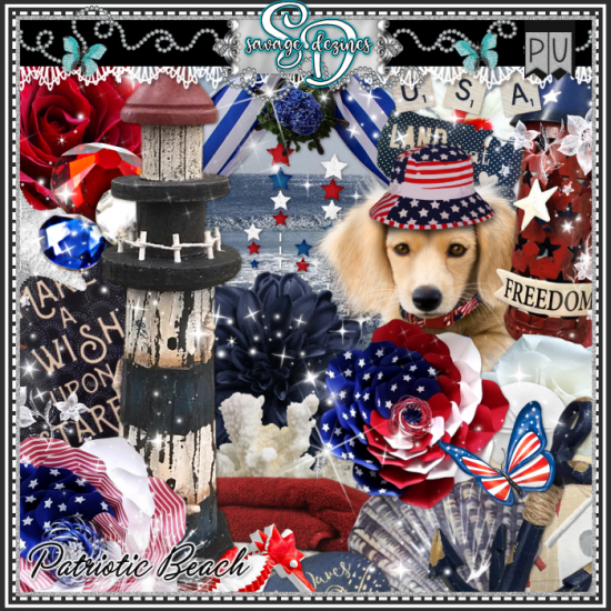 Patriotic Beach Kit - Click Image to Close