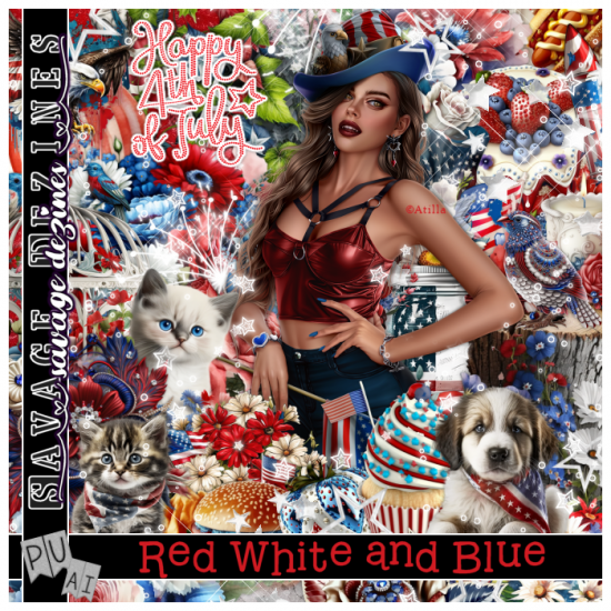 Red White and Blue Kit - Click Image to Close