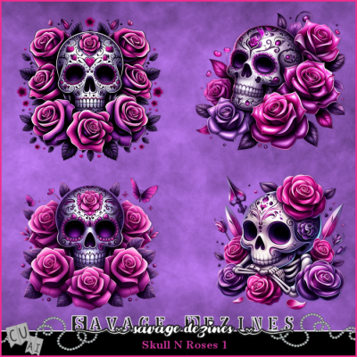 AI CU Skulls N Roses 1