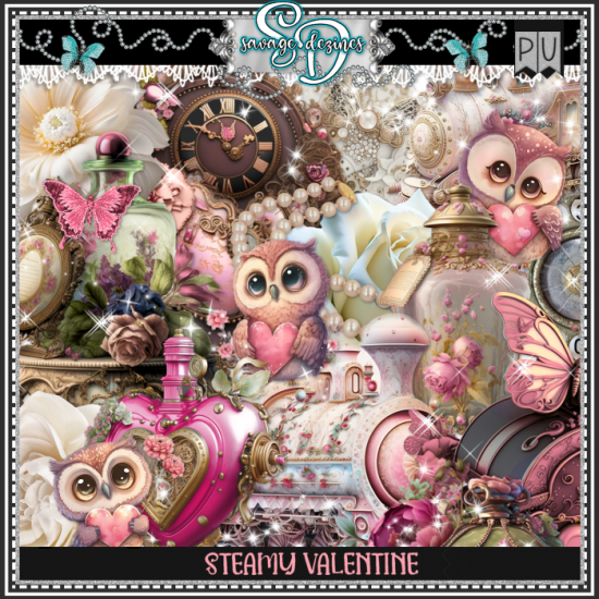 Steamy Valentine Kit - Click Image to Close
