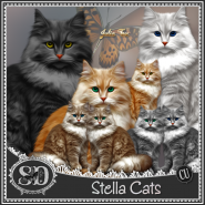 Stella Cats
